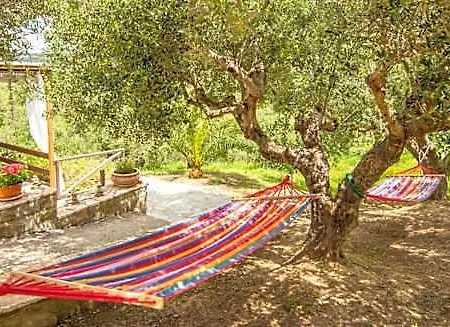 Hakuna Matata Holidays Wooden With Airco & Pool In Greek Olive Grove * Methone