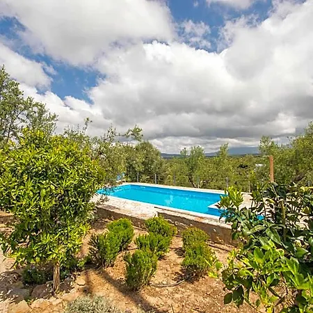 Hakuna Matata Holidays Wooden With Airco & Pool In Greek Olive Grove Hotel