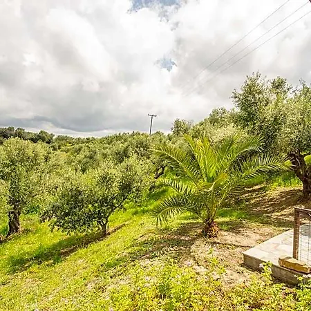 Hakuna Matata Holidays Wooden With Airco & Pool In Greek Olive Grove Methone