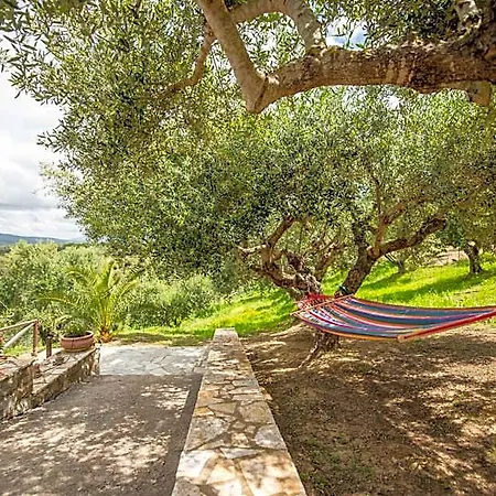Hakuna Matata Holidays Wooden With Airco & Pool In Greek Olive Grove Hotel Methone