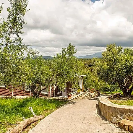 Hakuna Matata Holidays Wooden With Airco & Pool In Greek Olive Grove Methone