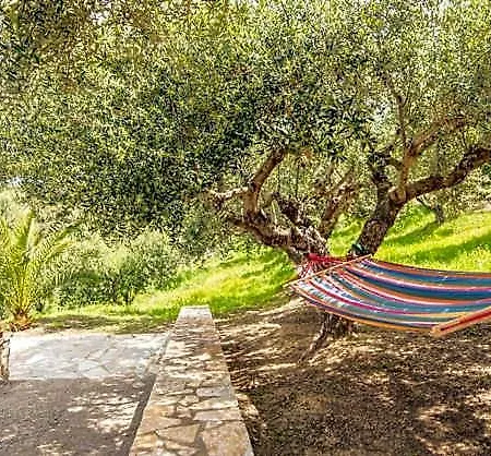 Hakuna Matata Holidays Wooden With Airco & Pool In Greek Olive Grove Hotel