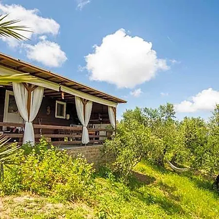 Hakuna Matata Holidays Wooden With Airco & Pool In Greek Olive Grove Hotel