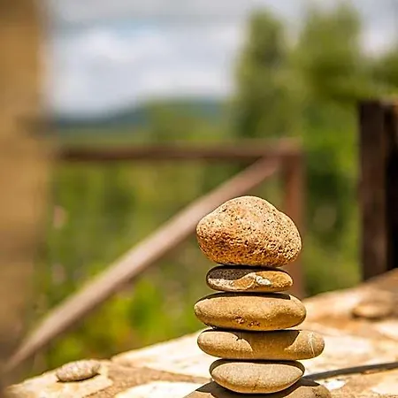 Hakuna Matata Holidays Wooden With Airco & Pool In Greek Olive Grove *