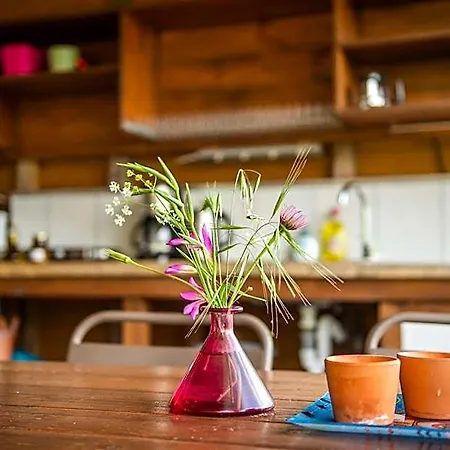 Hotel Hakuna Matata Holidays Wooden With Airco & Pool In Greek Olive Grove Methoni (Messenia)