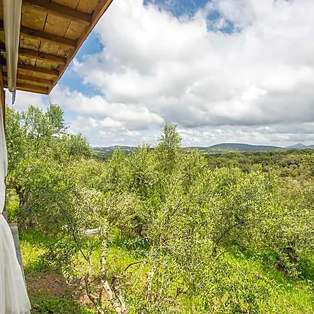Hotel Hakuna Matata Holidays Wooden With Airco & Pool In Greek Olive Grove