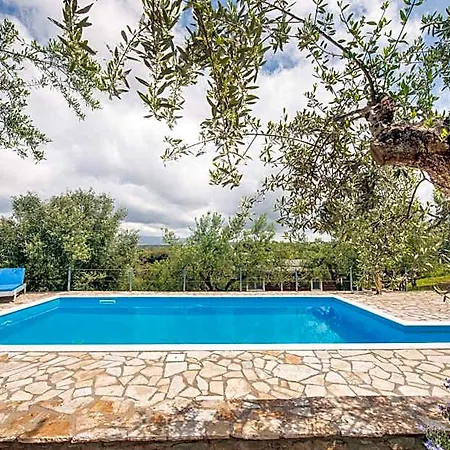 Hotel Hakuna Matata Holidays Wooden With Airco & Pool In Greek Olive Grove *